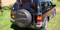 terrano5